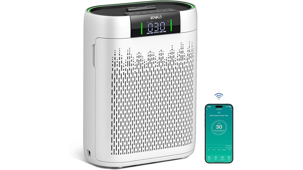 large room air purifier