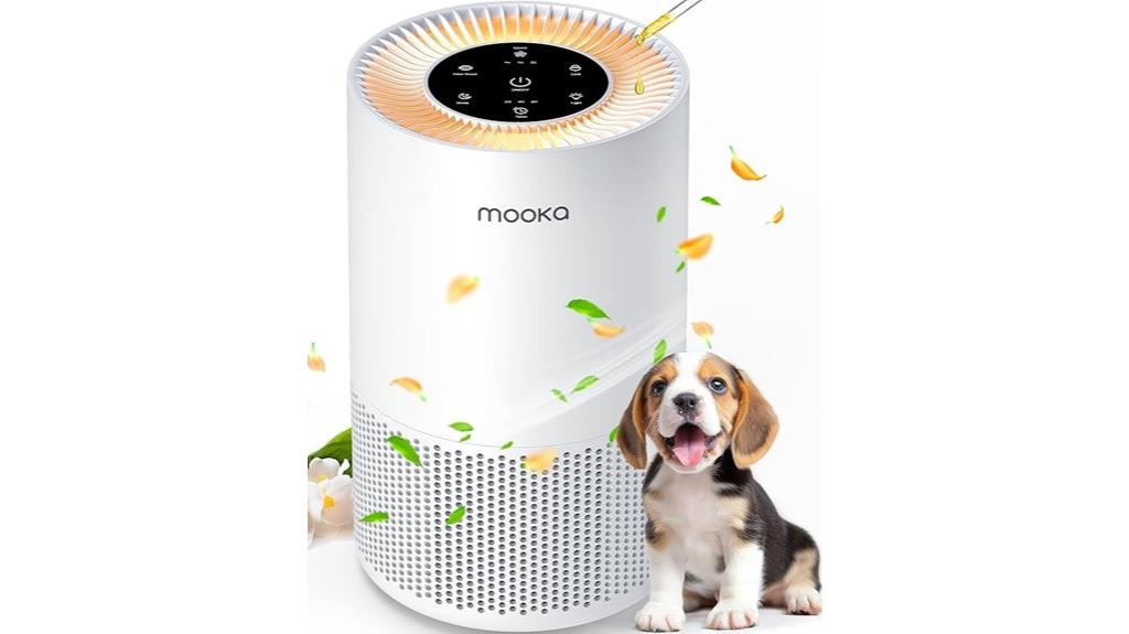 large room air purifier