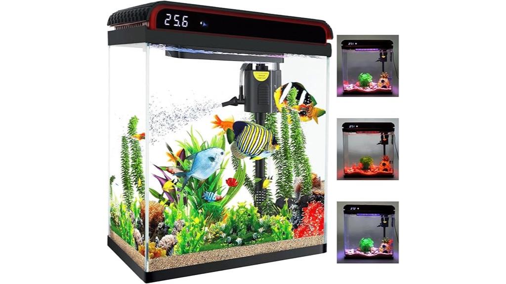 20 gallon aquarium setup