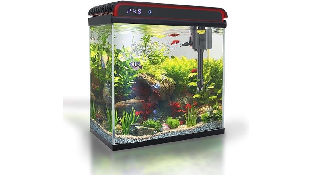 20 gallon glass aquarium kit