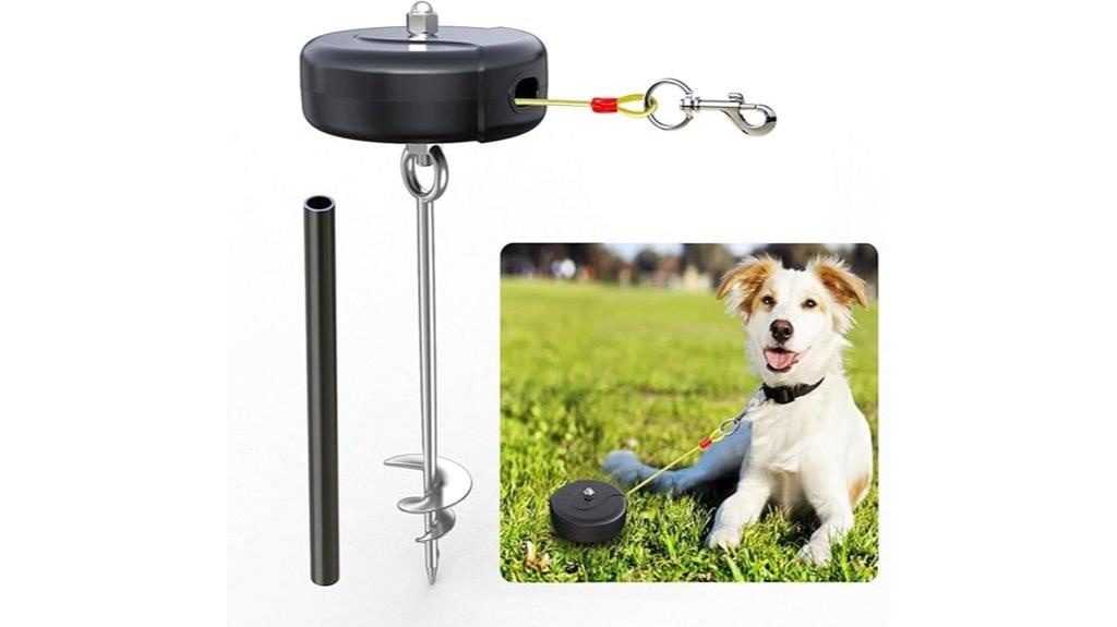 dog leash with stake