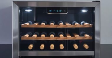 dual zone wine cooler