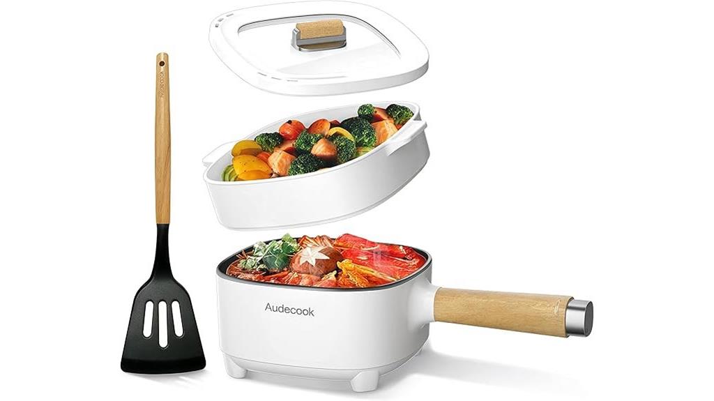 electric hot pot with frying