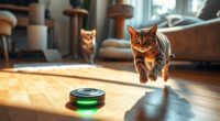 interactive cat toy recommendations