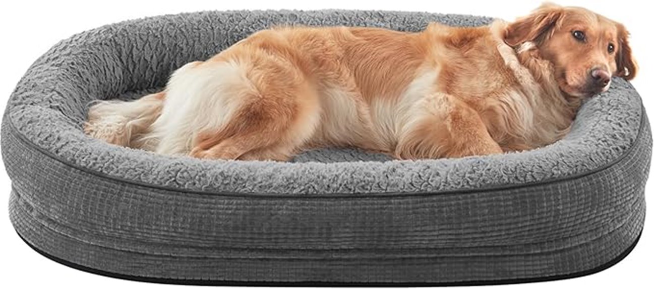 large dog orthopedic bed