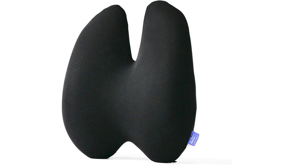 lumbar support pillow