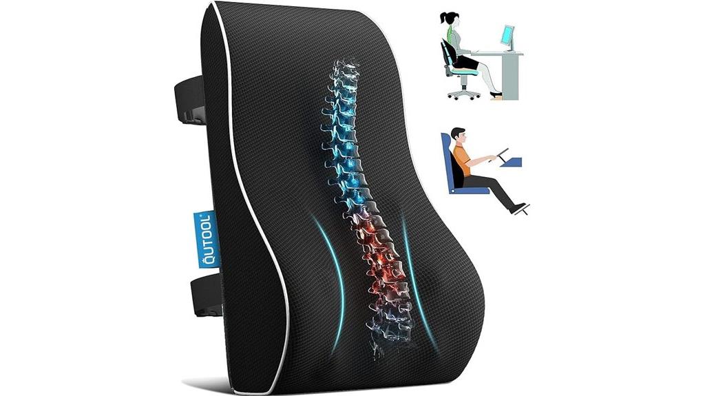 office and car lumbar pillow