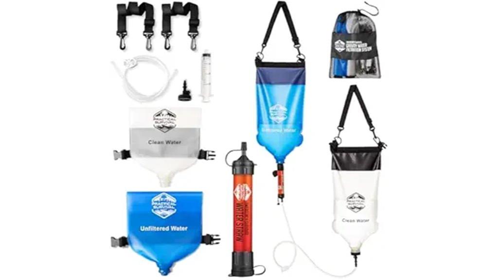 portable dual bag filter