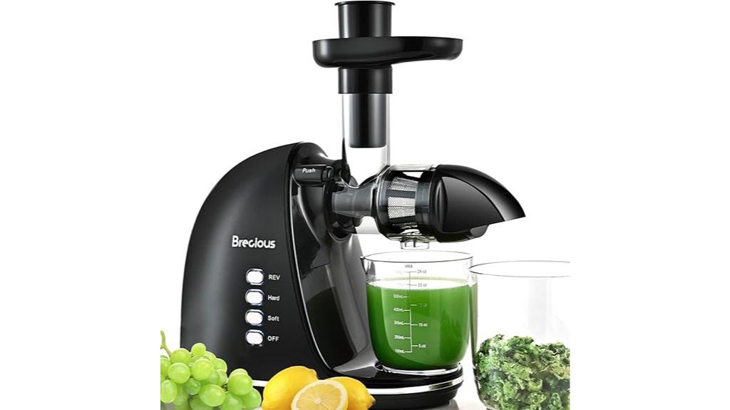 quiet cold press juicer