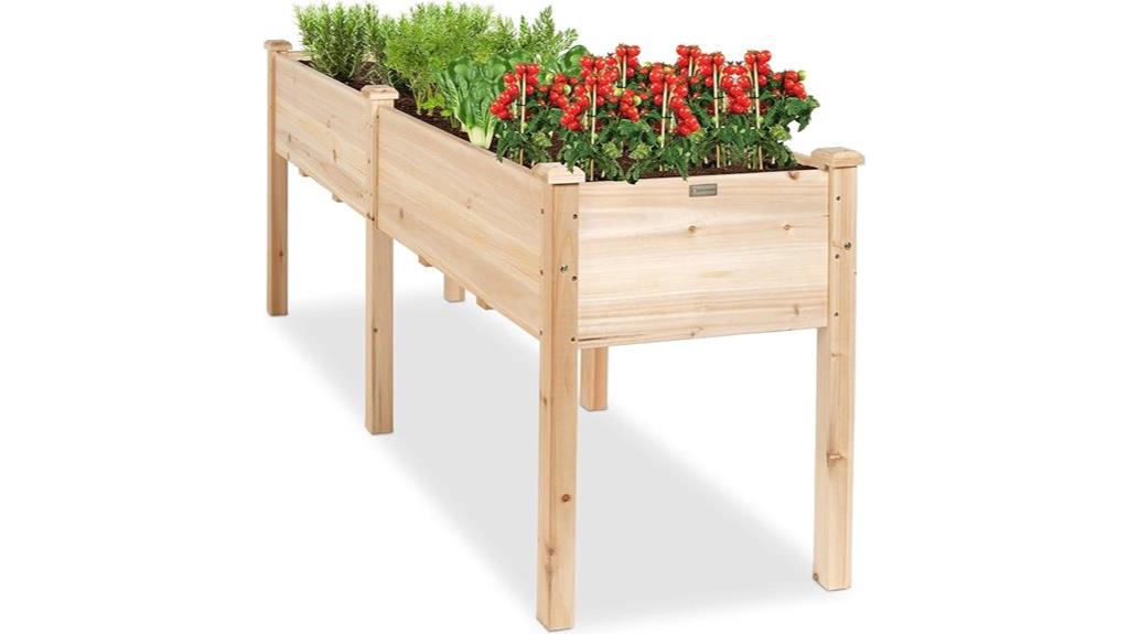 raised garden bed with divider