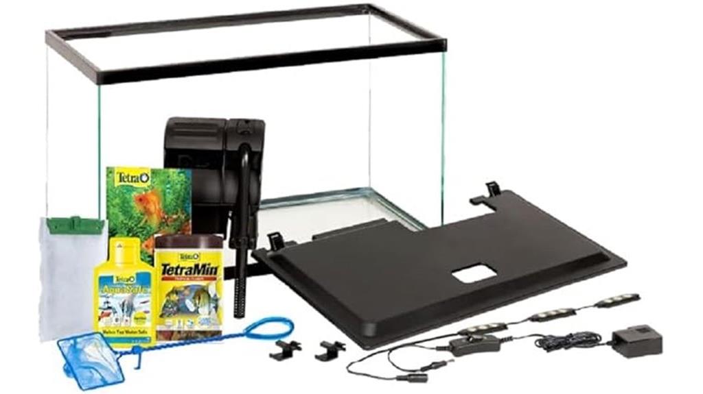 small tropical fish tank