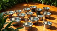 stylish elevated dog bowls
