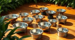 stylish elevated dog bowls