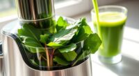 top leafy green juicers