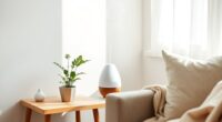 top oil diffuser humidifier combos