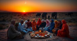 halal safari adventure tours