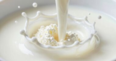 dairy components and processes