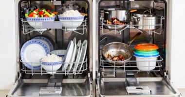 halal and non halal mixing