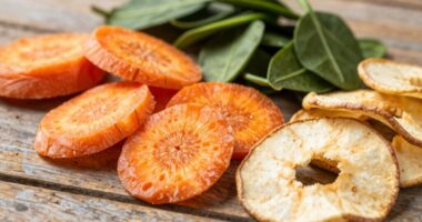 home freeze dried food uses