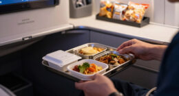 American Airlines
