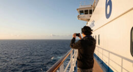 mein schiff 6