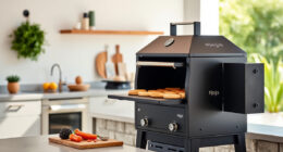 Ninja Outdoor Woodfire Pro XL Grill & Smoker: Summer BBQ Masterpiece