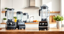 Vitamix 5200 vs Vitamix E310 Explorian: Full Comparison