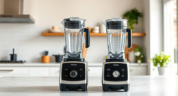 Vitamix 5200 vs Vitamix E310 Explorian: Full Comparison