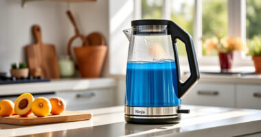 Keep Your Ninja KT200BL Kettle Sparkling & Performing All Summer