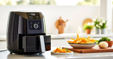 Summer Care & Troubleshooting Guide for Ninja Foodi 8 Qt DualZone Air Fryer