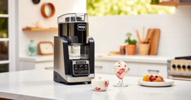 Summer Tips & Hacks for the Ninja Creami XL Ice Cream Maker